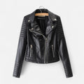 Veste — vue 1
